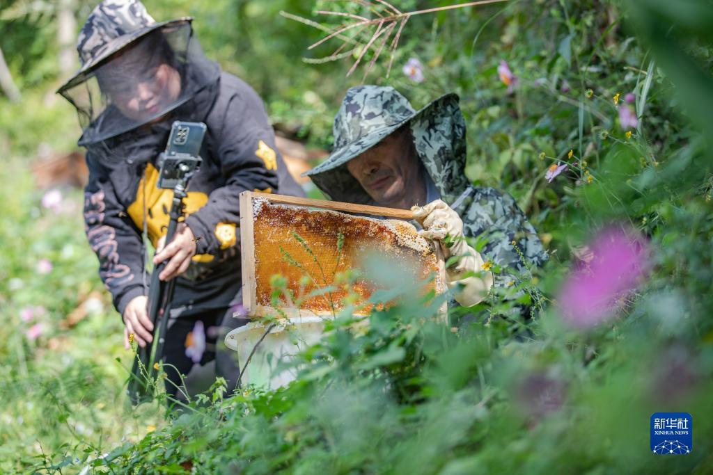 澳门大红鹰登录官网